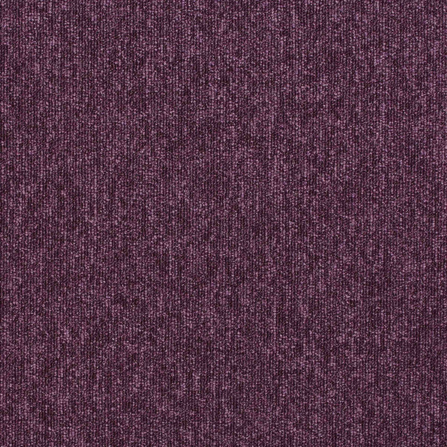 paragon workspace loop carpet tile Purple