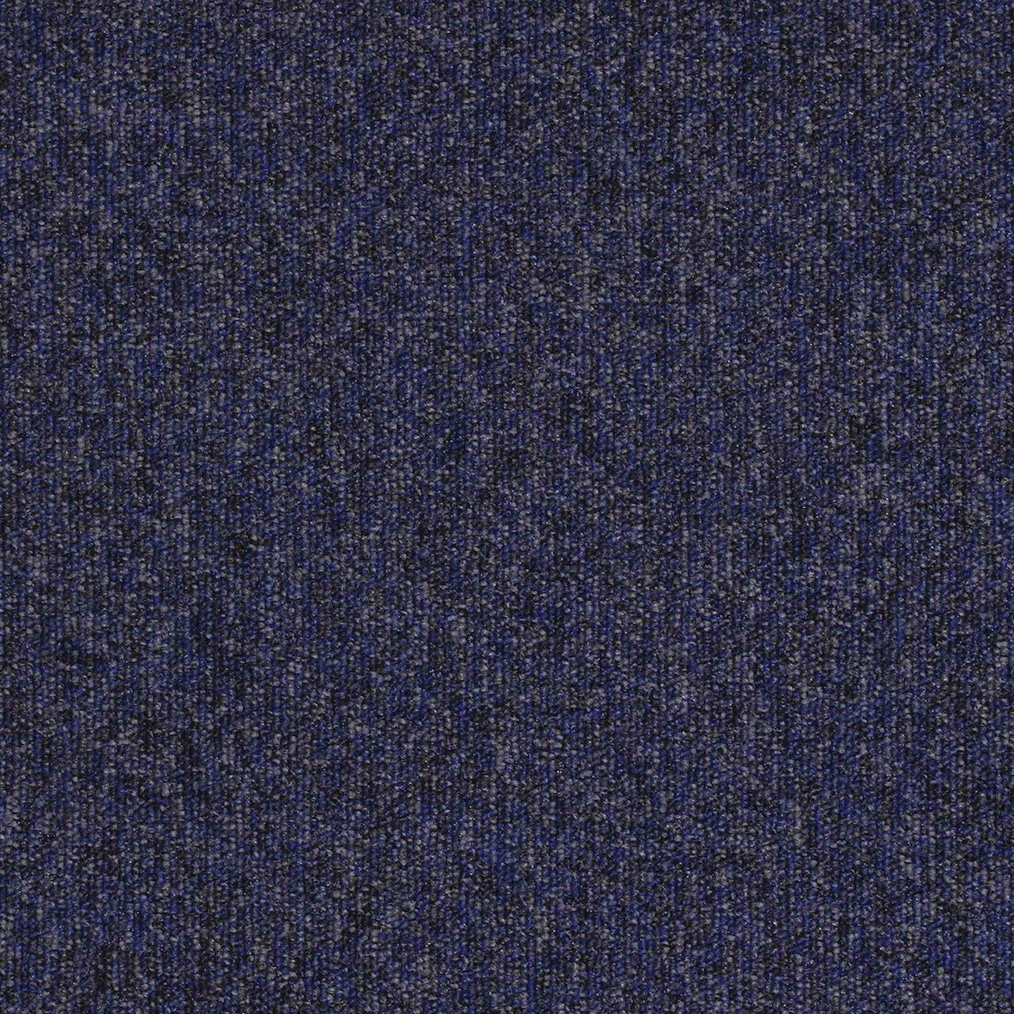 paragon workspace loop carpet tile Blue