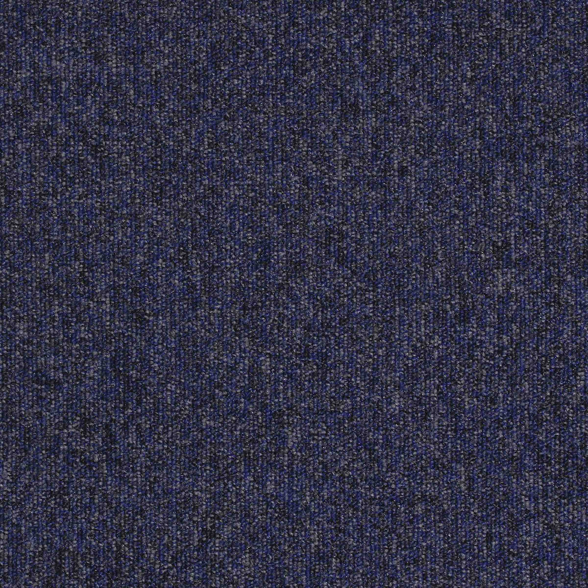 paragon workspace loop carpet tile Blue