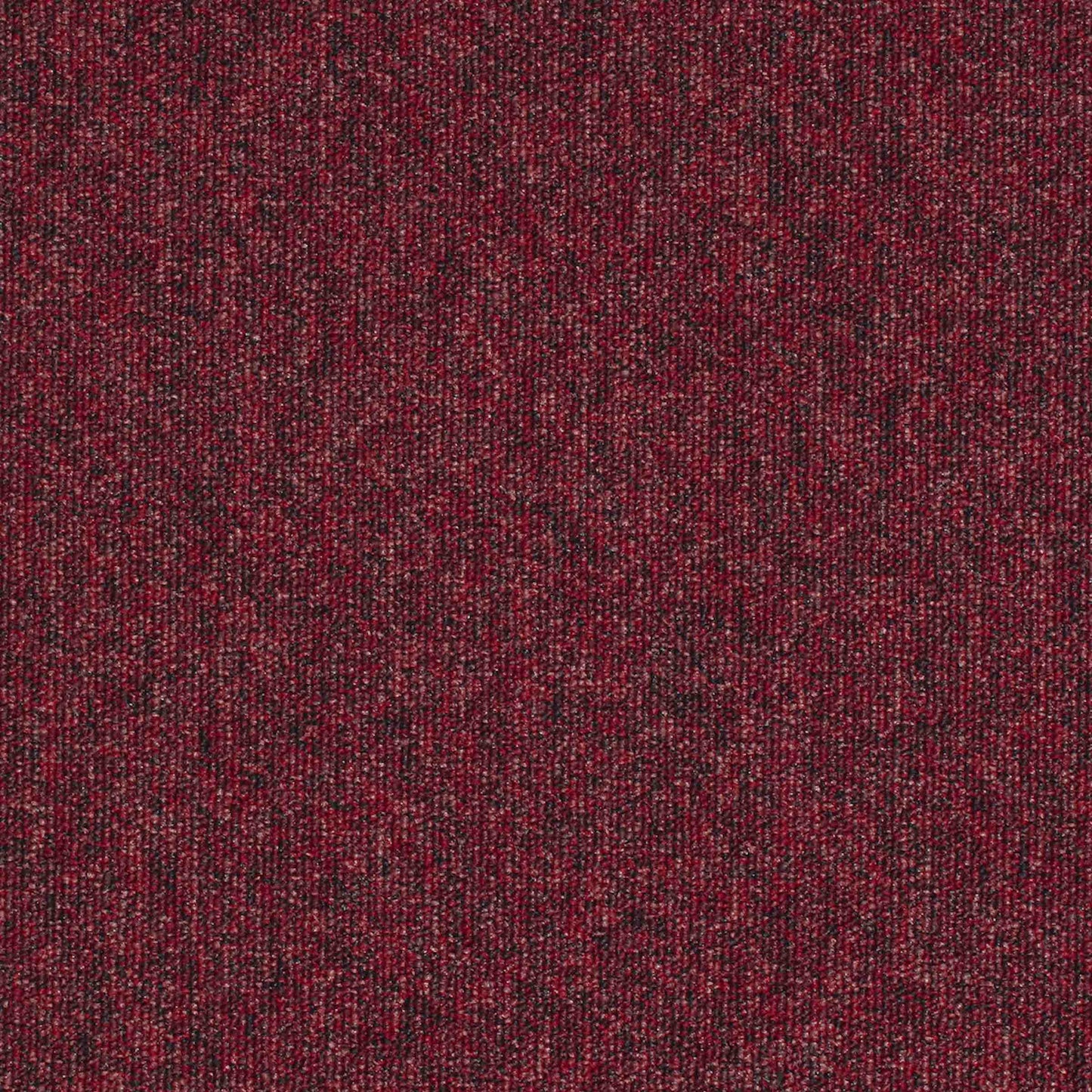 paragon workspace loop carpet tile Red