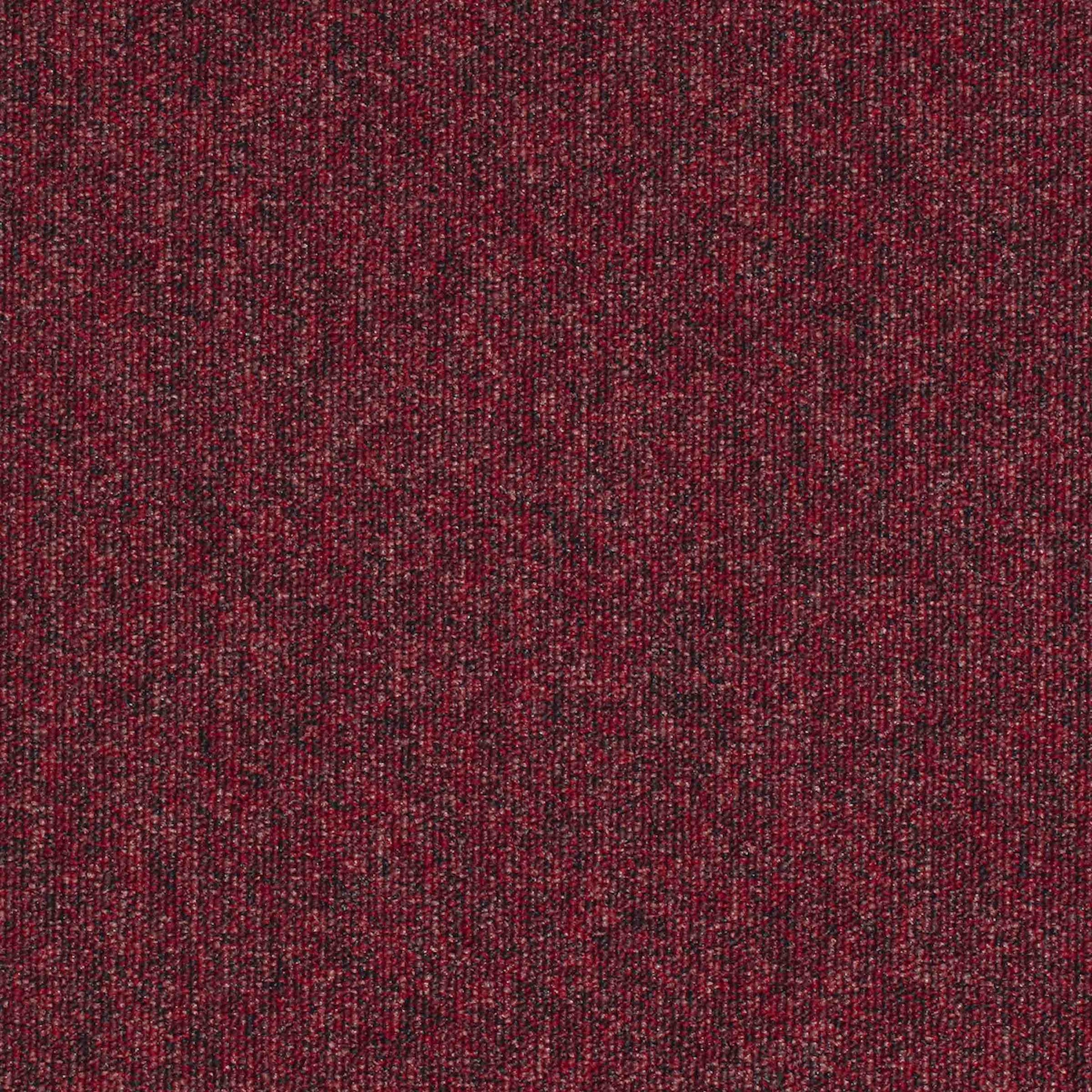 paragon workspace loop carpet tile Red