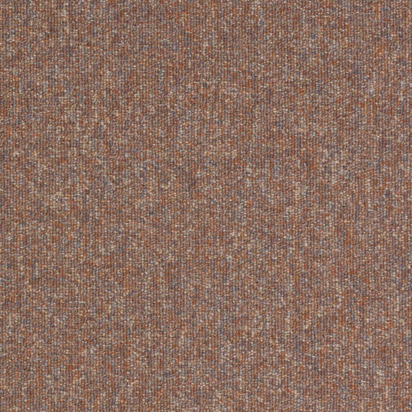 paragon workspace loop carpet tile Beige