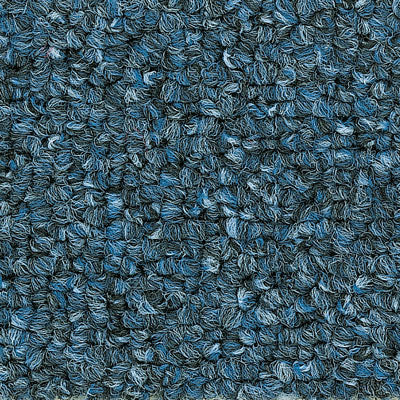 rawsons eden carpet tile Blue