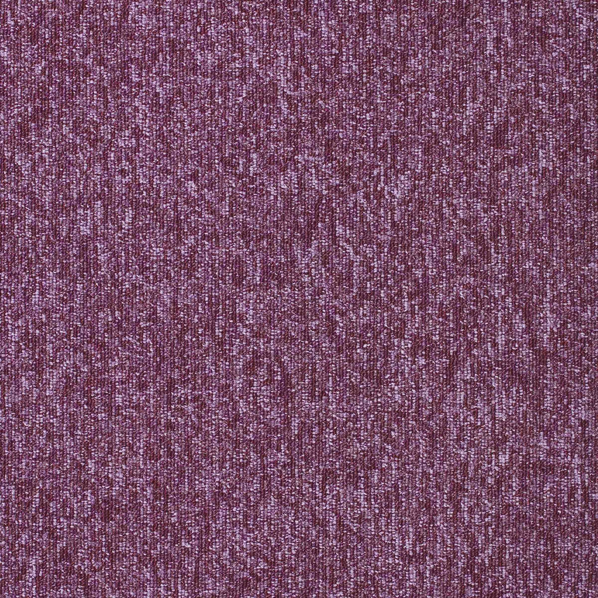 paragon diversity carpet tile Pink