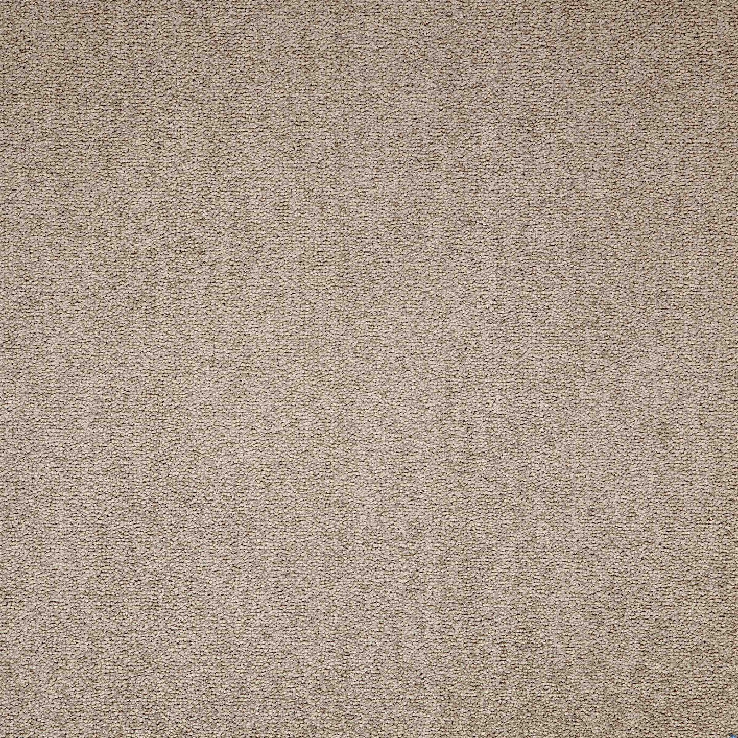 paragon maestro carpet tile Beige