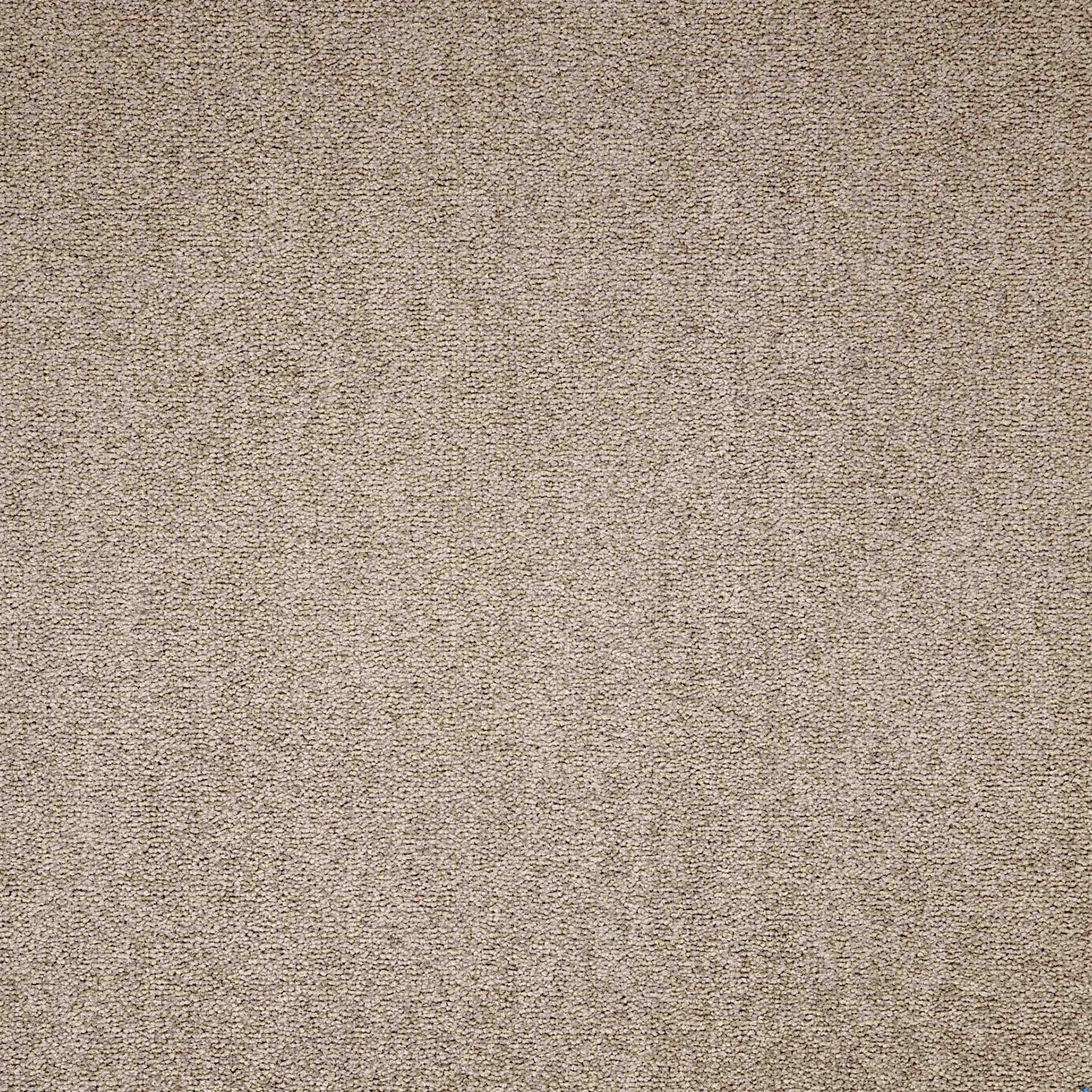 paragon maestro carpet tile Beige