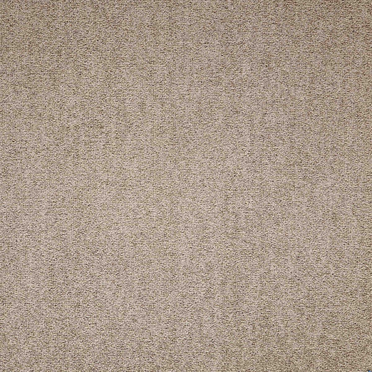 paragon maestro carpet tile Beige