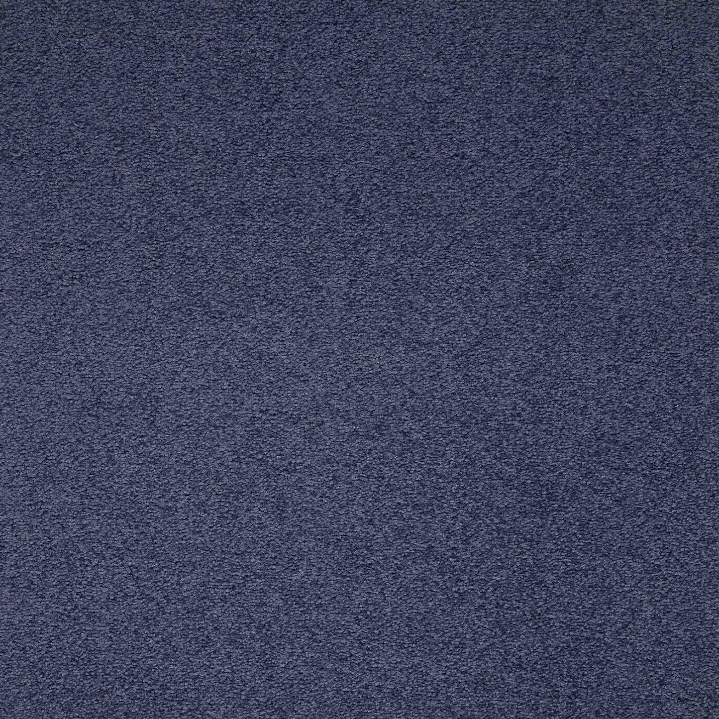 paragon maestro carpet tile Blue