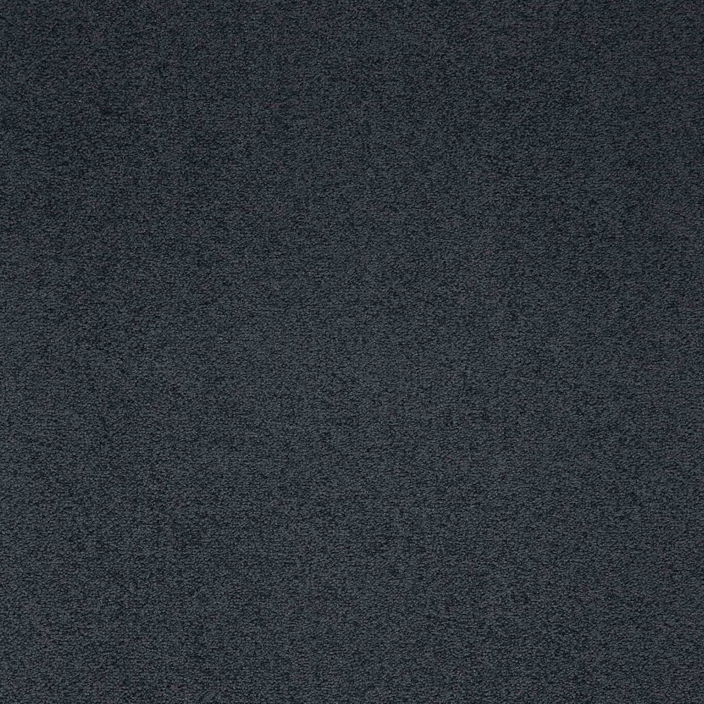 paragon maestro carpet tile Black