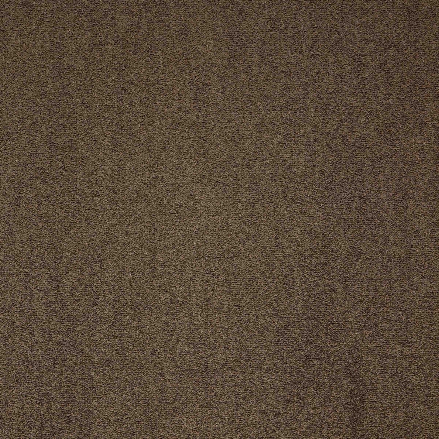 paragon maestro carpet tile Brown