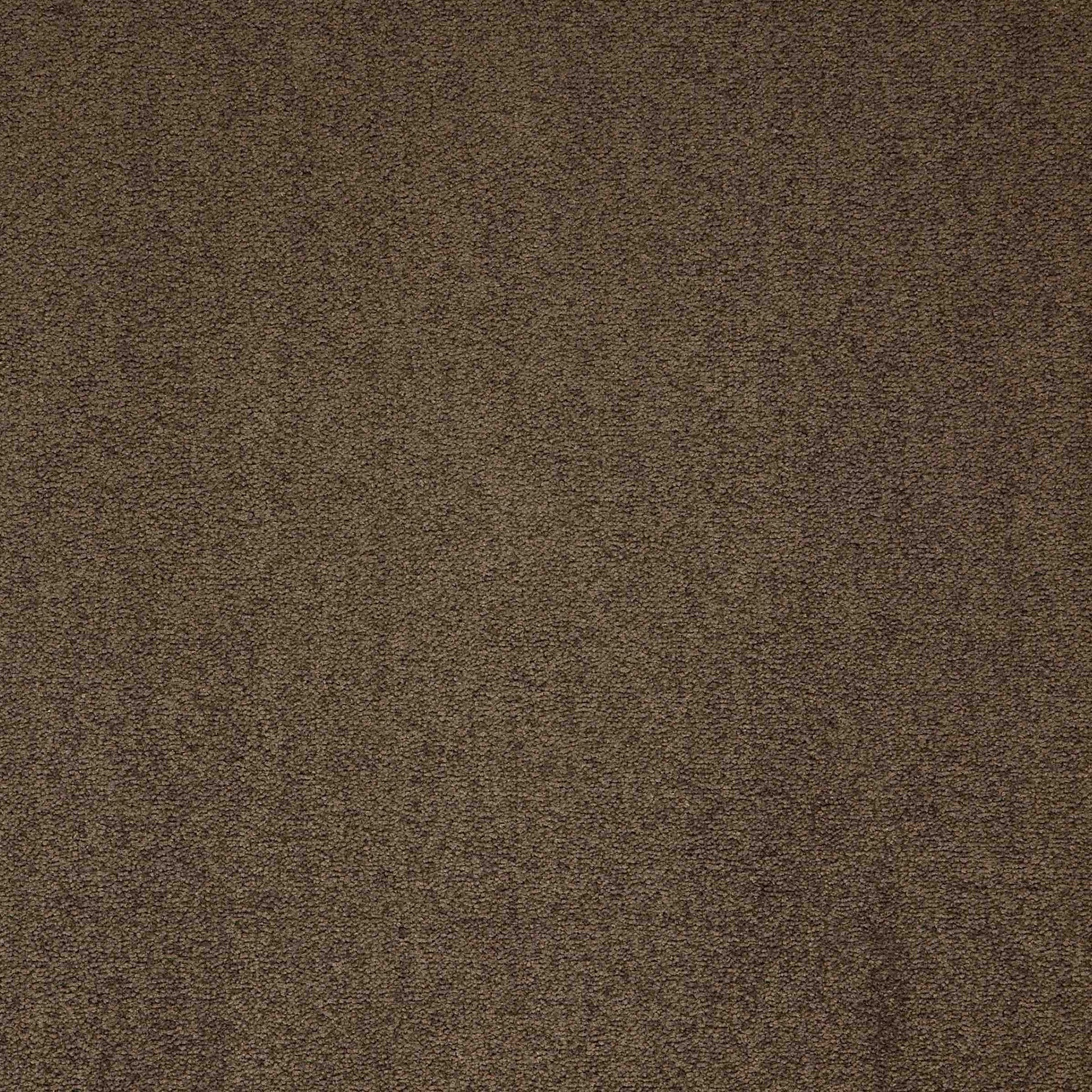 paragon maestro carpet tile Brown