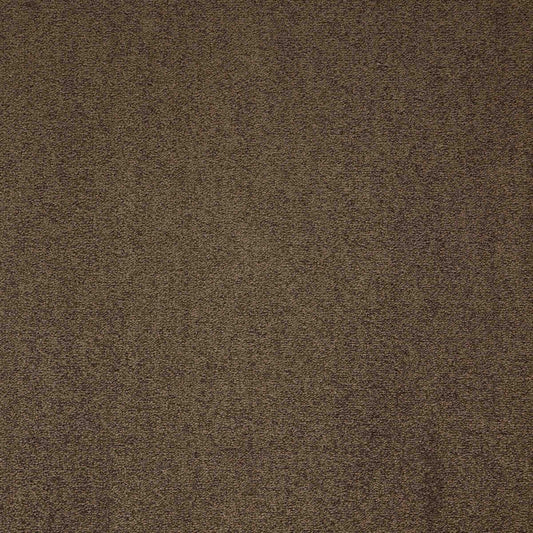 paragon maestro carpet tile Brown