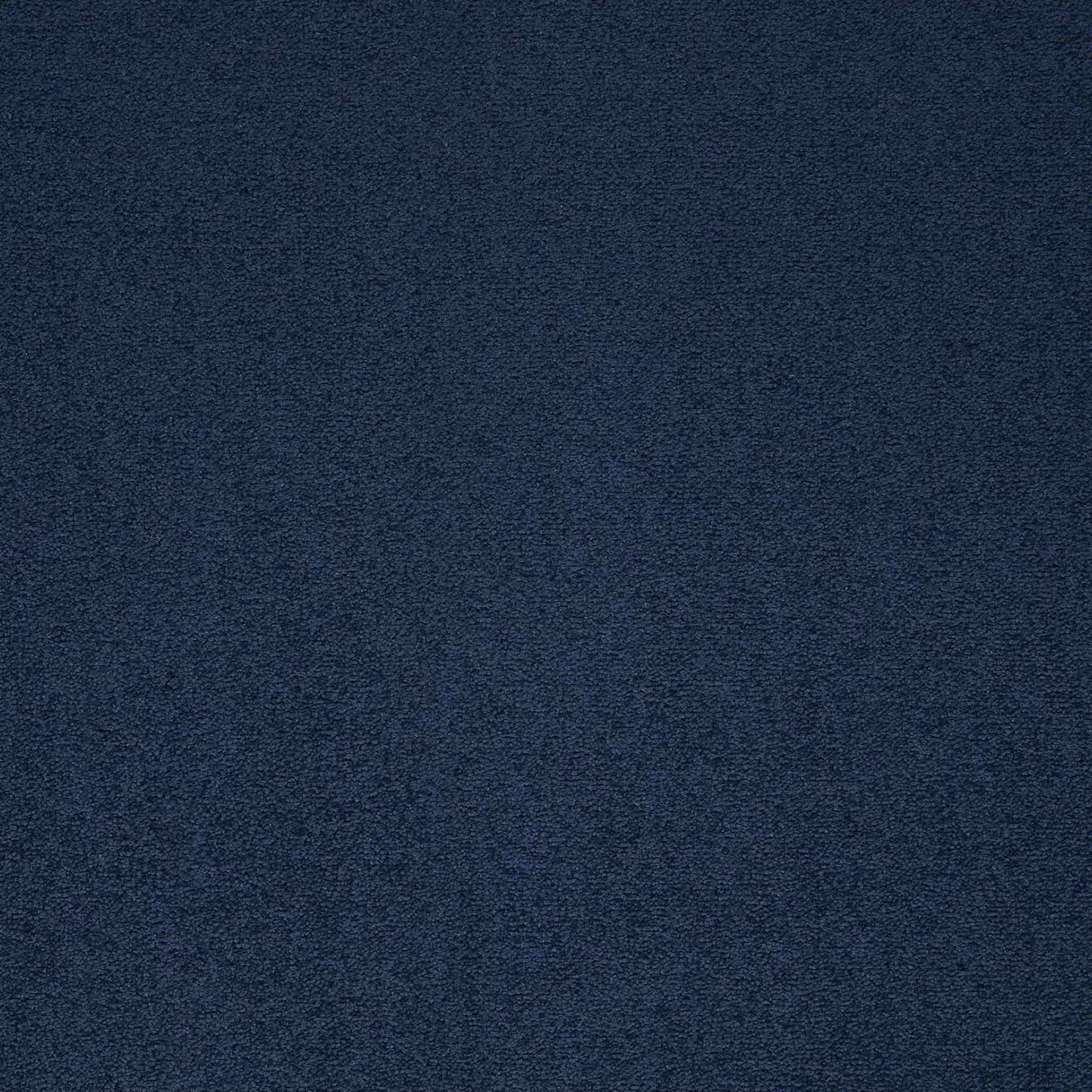 paragon maestro carpet tile Blue