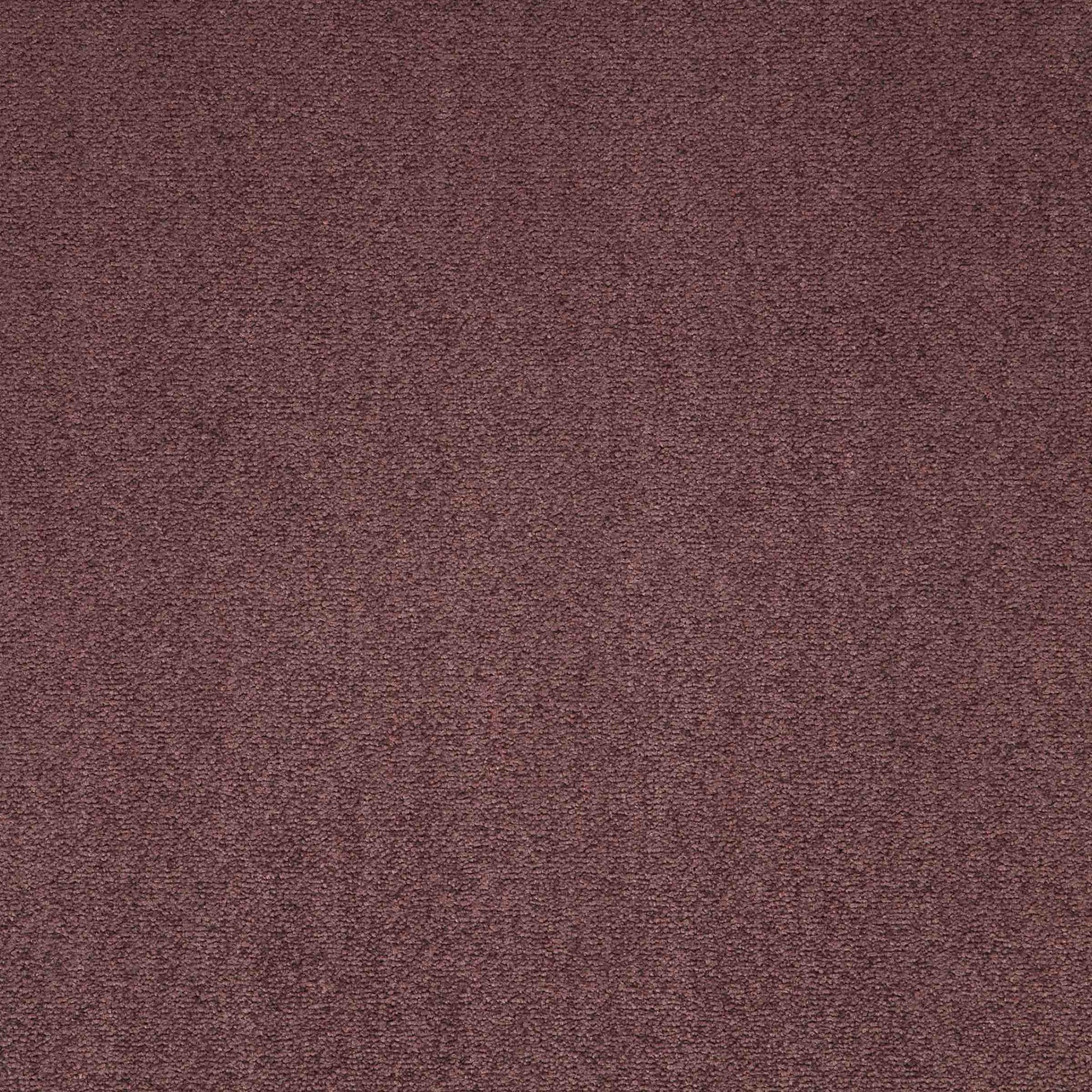 paragon maestro carpet tile Red