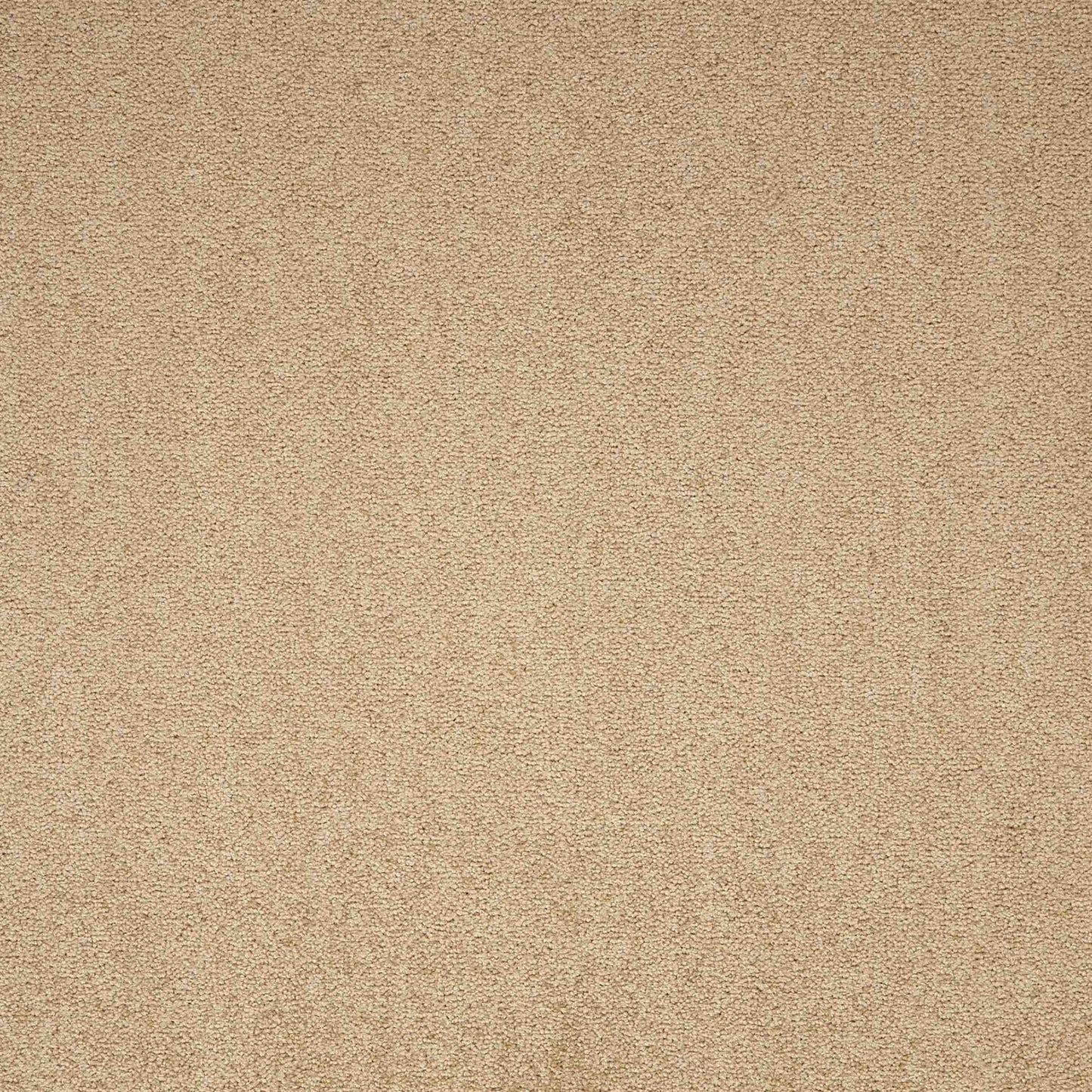 paragon maestro carpet tile Beige