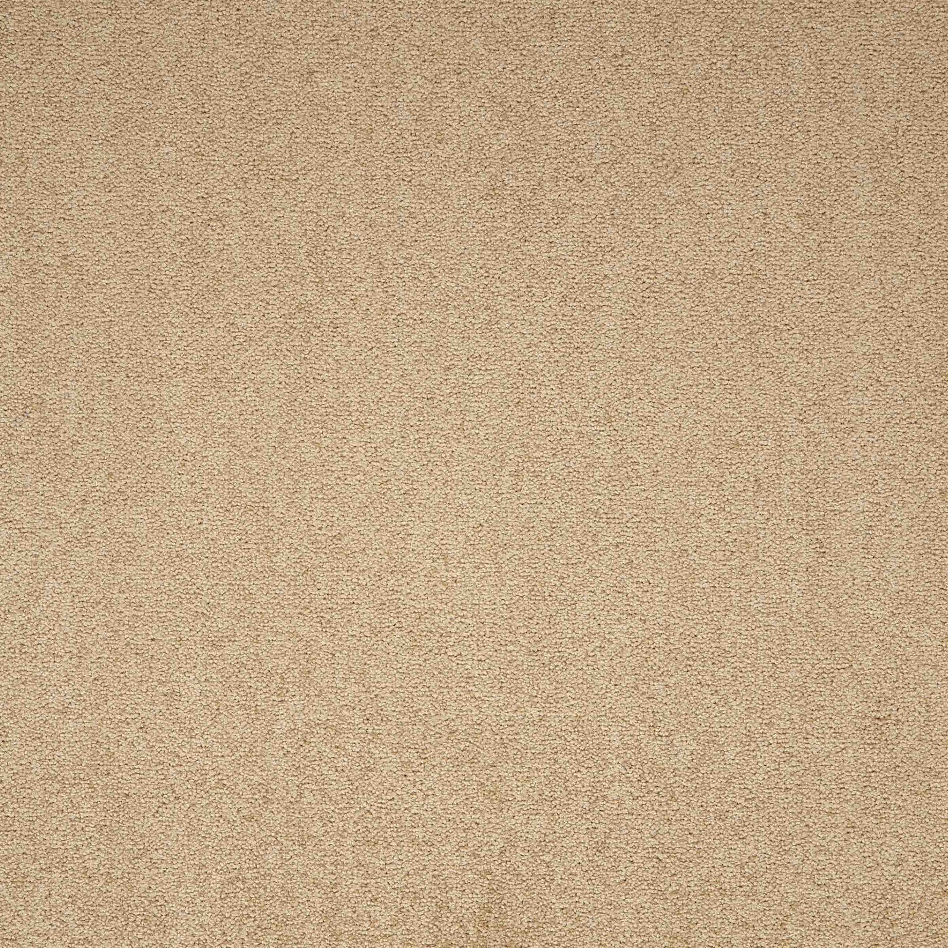 paragon maestro carpet tile Beige