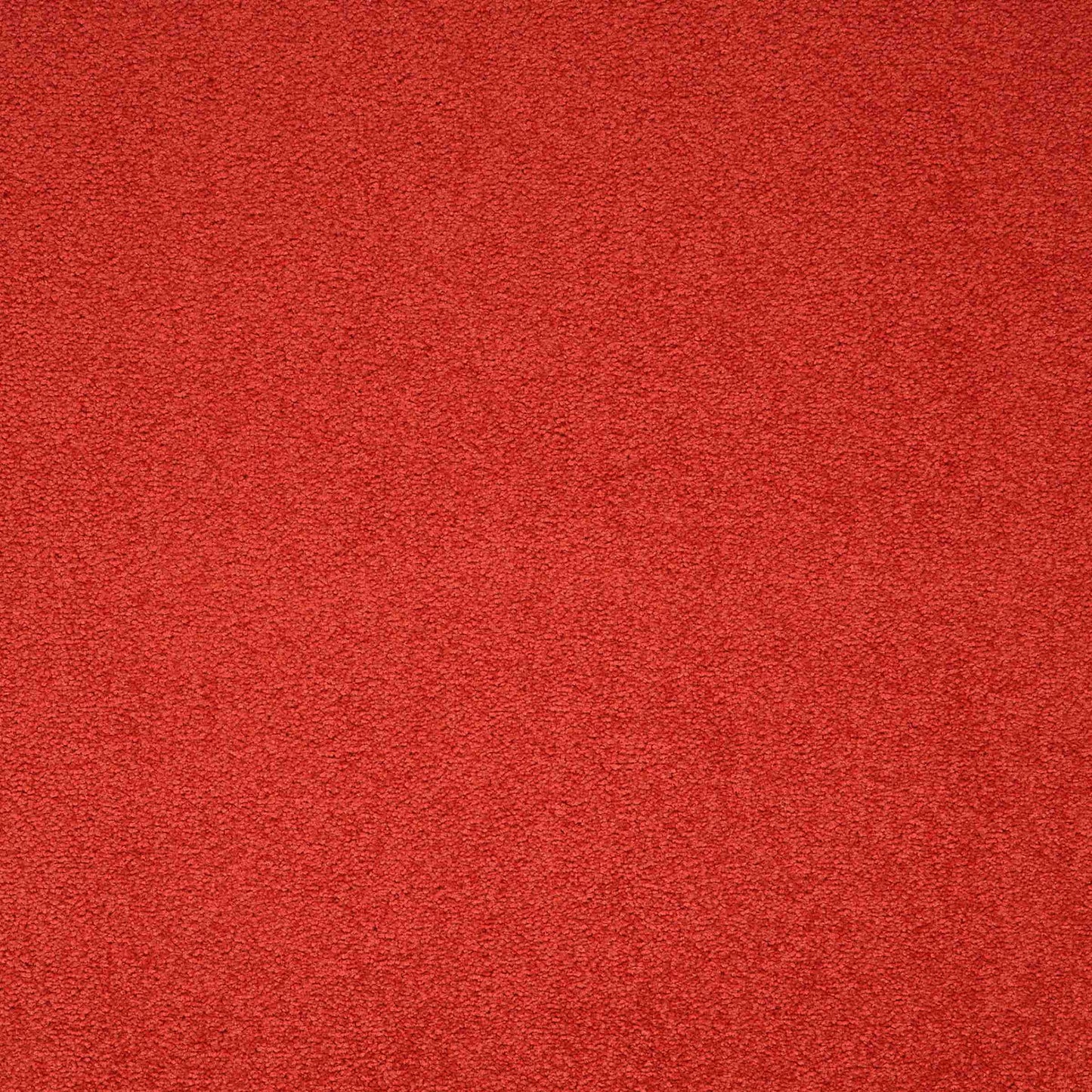 paragon maestro carpet tile Red