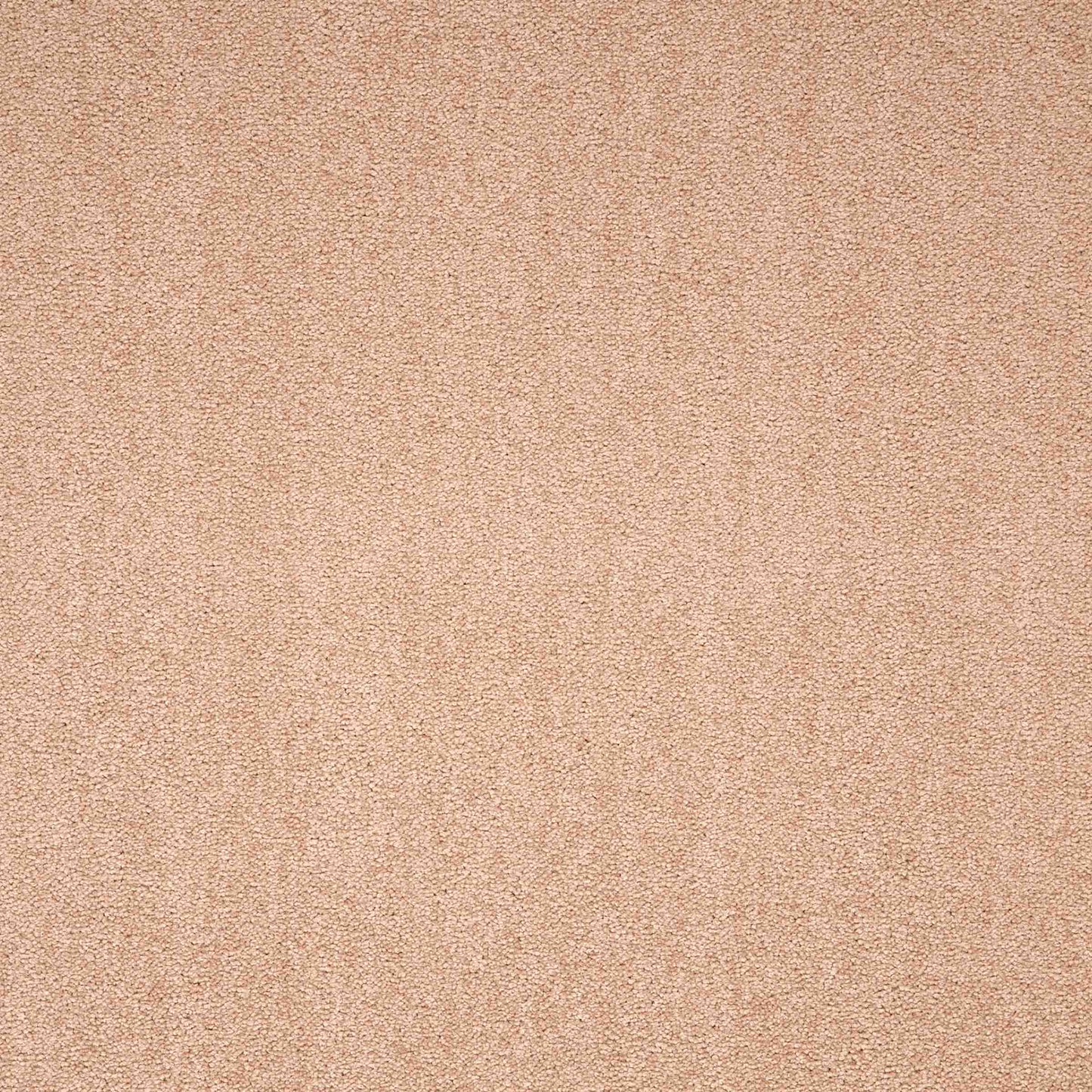 paragon maestro carpet tile Beige