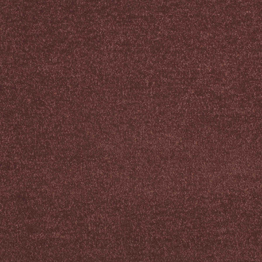 paragon maestro carpet tile Red