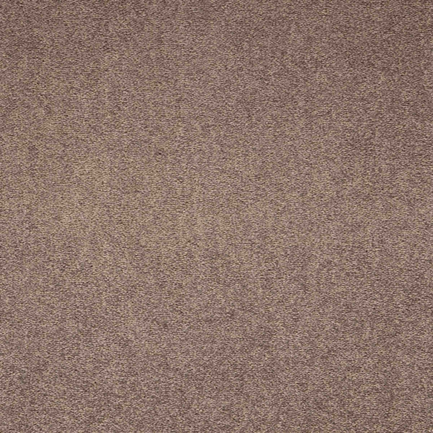 paragon maestro carpet tile Brown