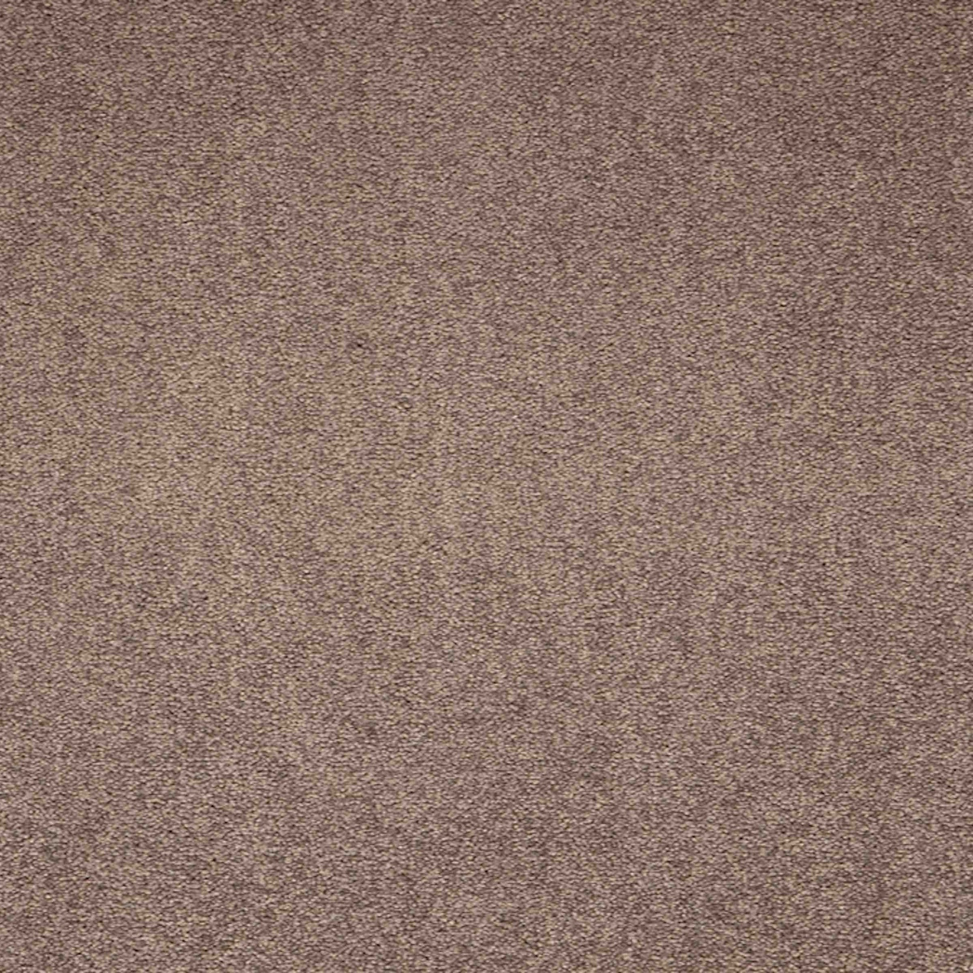 paragon maestro carpet tile Brown