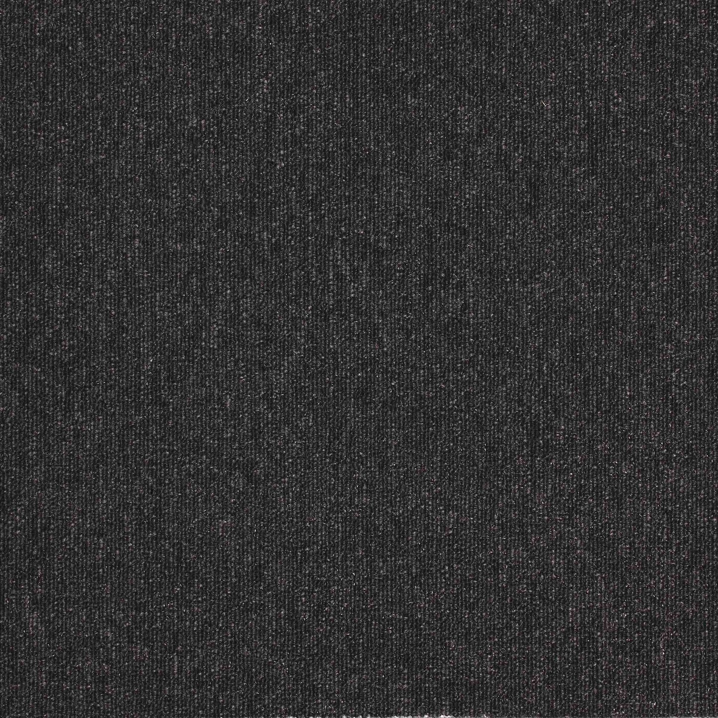 paragon sirocco  carpet tile Black