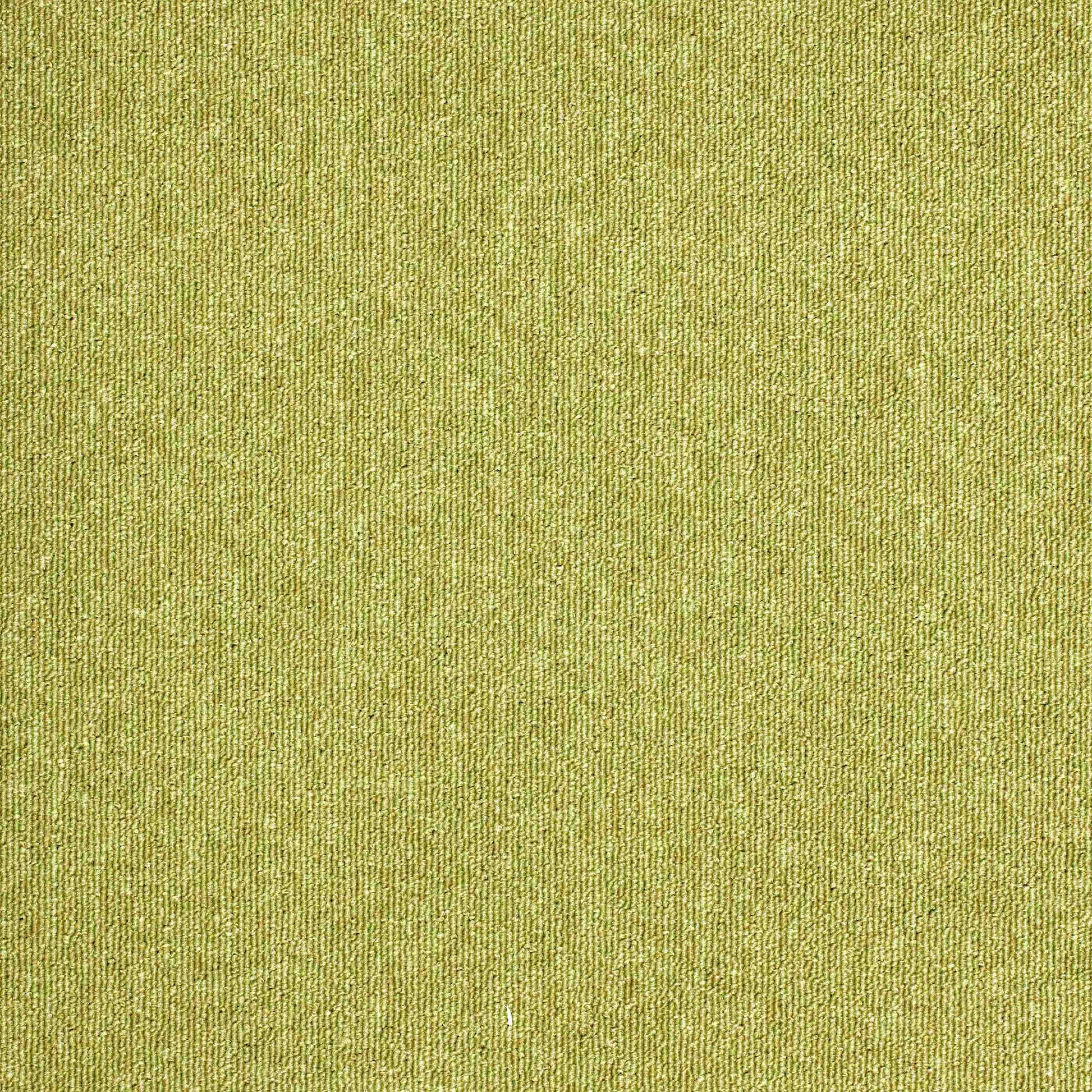 paragon sirocco  carpet tile Green