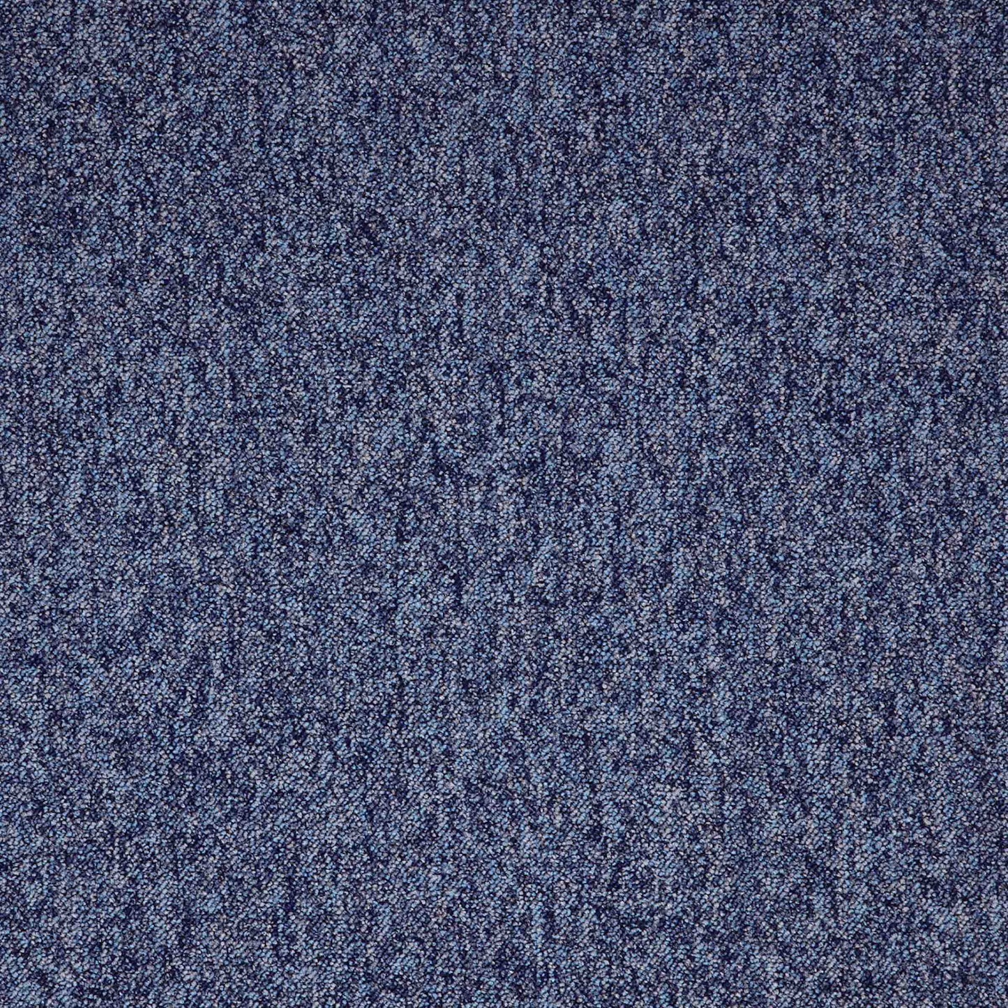 paragon toccarre carpet tile Blue