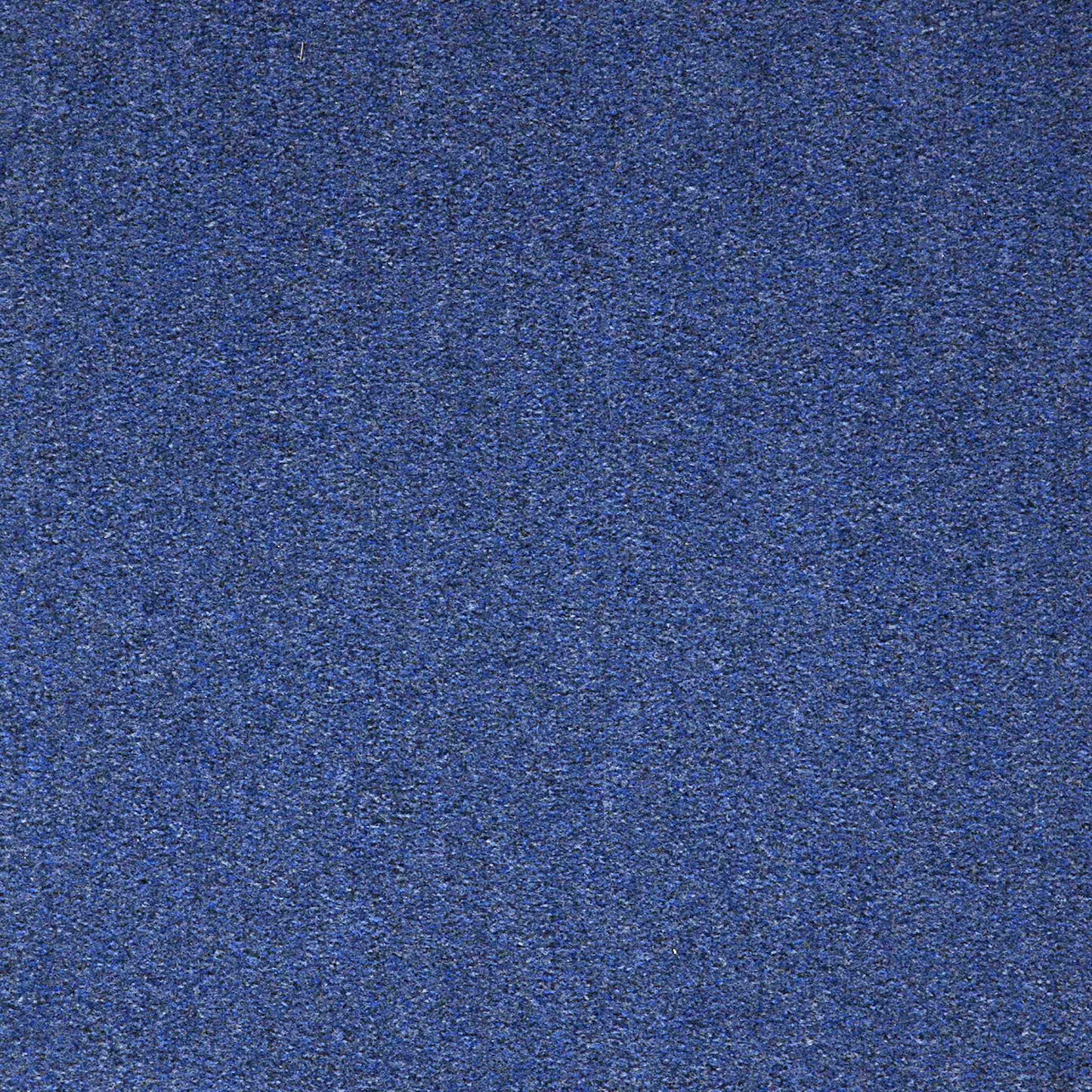 paragon workspace cut-pile carpet tile Blue