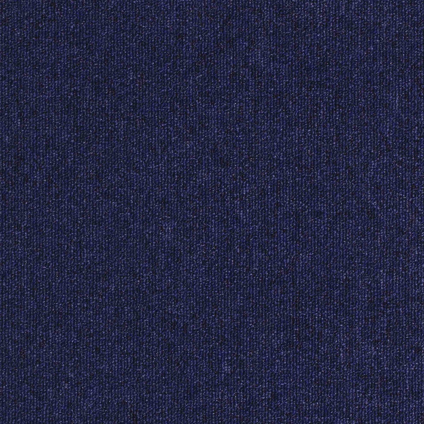 paragon workspace loop carpet tile Blue