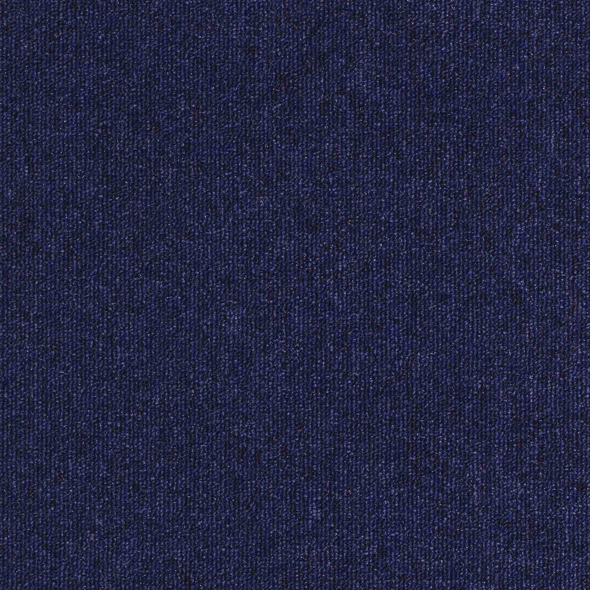 paragon workspace loop carpet tile Blue