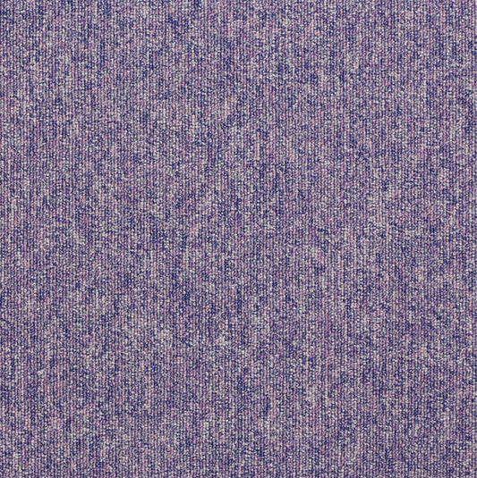 paragon workspace loop carpet tile Purple