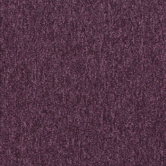 paragon workspace loop carpet tile Purple