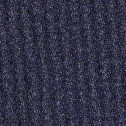 paragon workspace loop carpet tile Blue