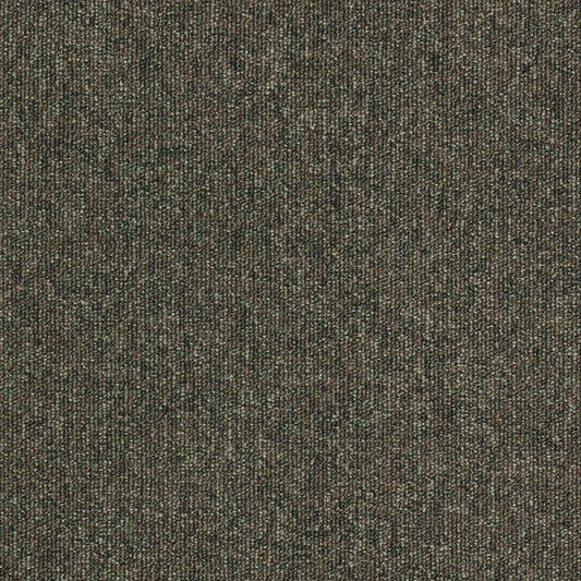 paragon workspace loop carpet tile Green