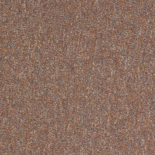 paragon workspace loop carpet tile Beige